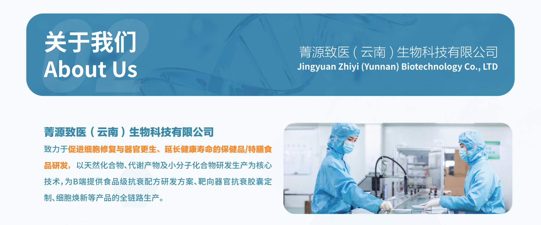 关于DM建站系统 About us